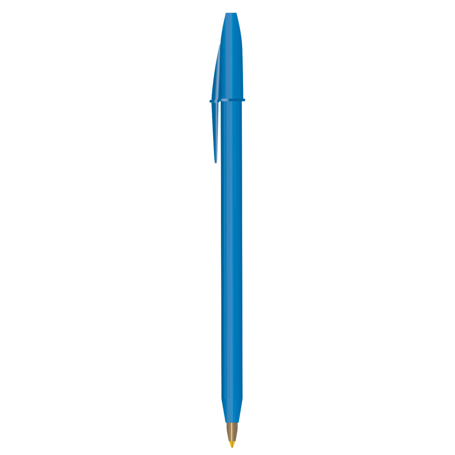 EE1446 - BIC